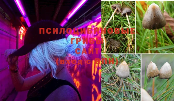 бутират Балабаново