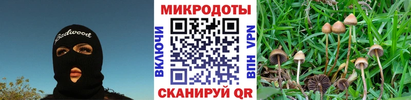как найти   Советский  Галлюциногенные грибы прущие грибы 