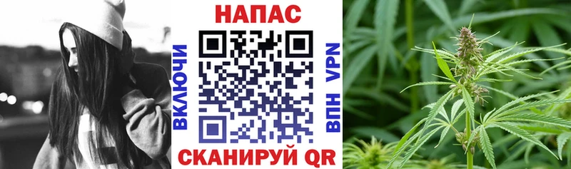 где найти наркотики Советский Бошки Шишки OG Kush